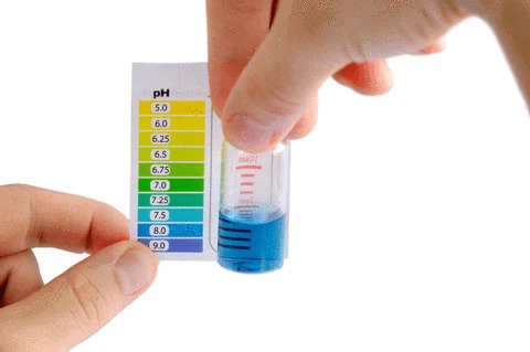 Acidic or Alkaline? What Your pH Says About You
